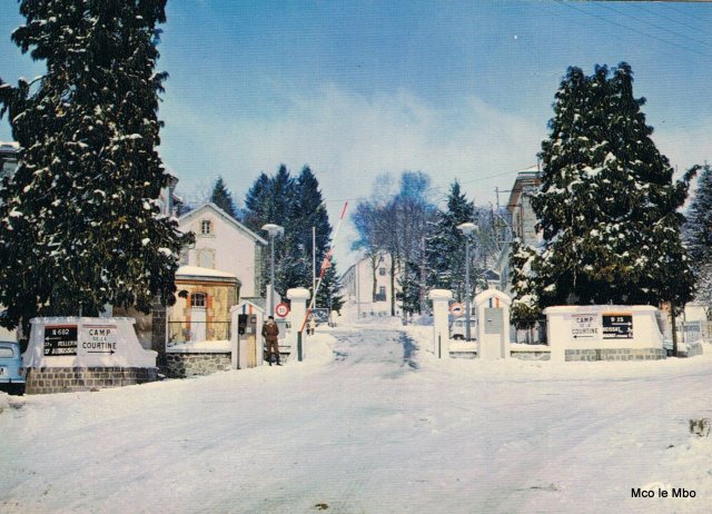 Les Caïmans dans la neige